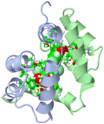 Image NMR Structure - model 1, sites