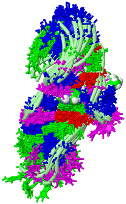 Image NMR Structure - all models