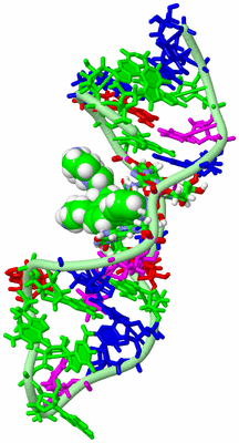 Image NMR Structure - model 1, sites