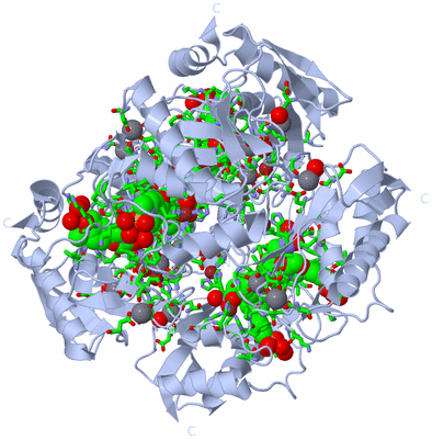 Image Biol. Unit 1 - sites