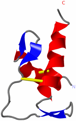 Image NMR Structure - model 1