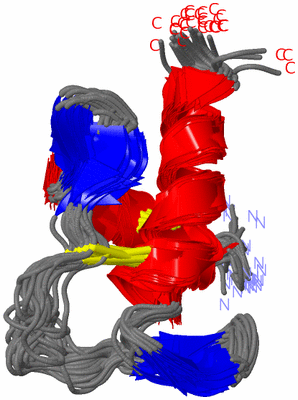 Image NMR Structure - all models