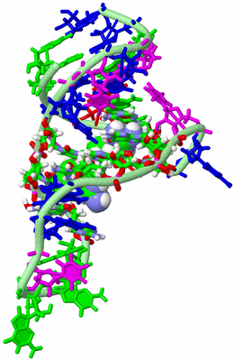 Image NMR Structure - model 1, sites