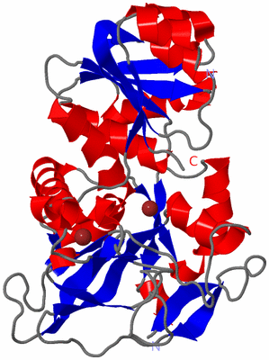 Image Asymmetric Unit