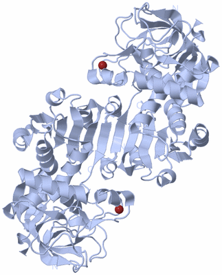Image Biological Unit 1