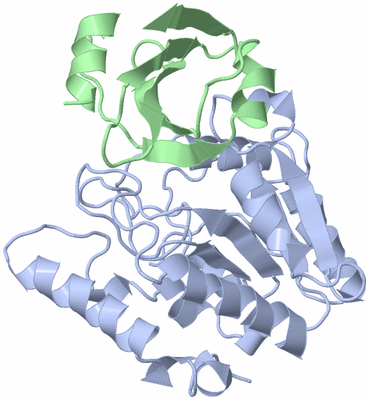 Image Biological Unit 1