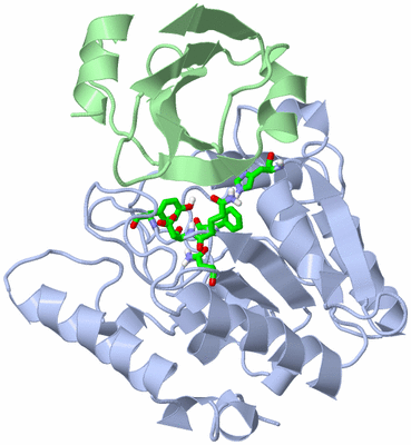 Image Biol. Unit 1 - sites