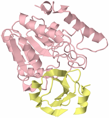 Image Biological Unit 2