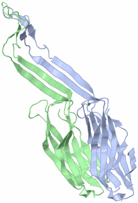Image Asymmetric Unit