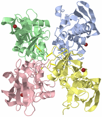 Image Asymmetric Unit