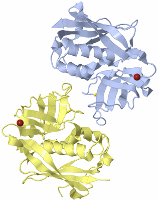 Image Biological Unit 1