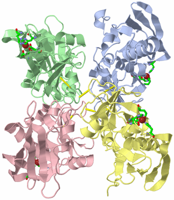 Image Asym. Unit - sites