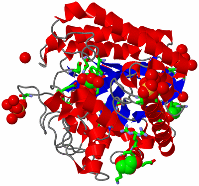 Image Asym./Biol. Unit - sites