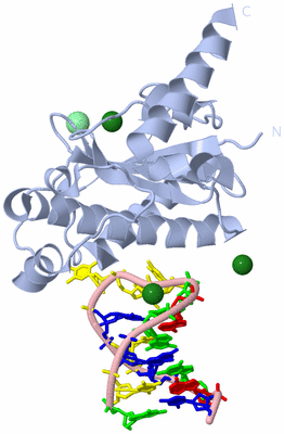 Image Biological Unit 1