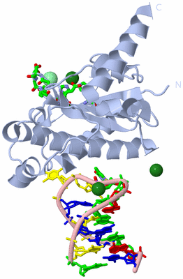 Image Biol. Unit 1 - sites