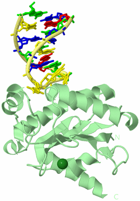 Image Biological Unit 2