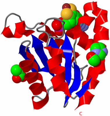 Image Asymmetric Unit