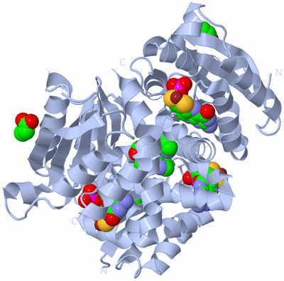 Image Biological Unit 1