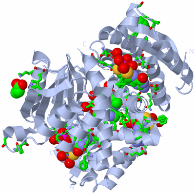 Image Biol. Unit 1 - sites