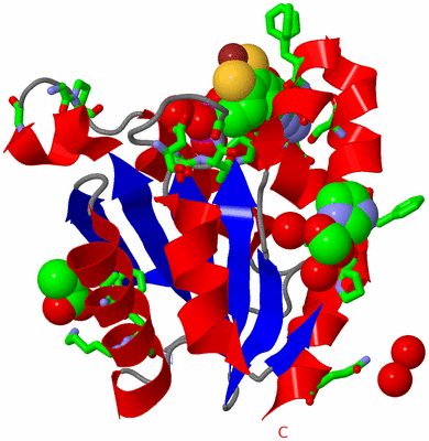 Image Asym. Unit - sites