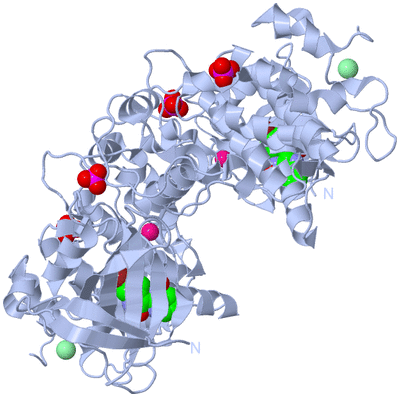 Image Biological Unit 1