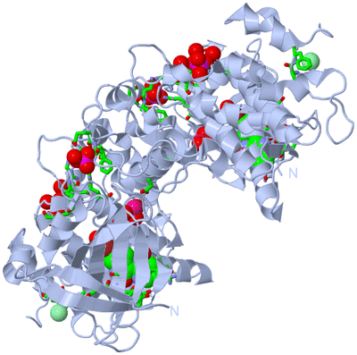 Image Biol. Unit 1 - sites