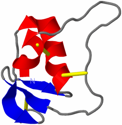 Image NMR Structure - model 1