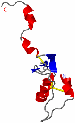 Image NMR Structure - model 1