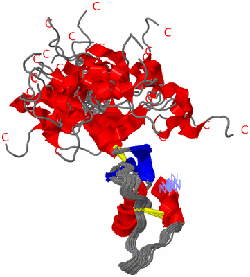 Image NMR Structure - all models