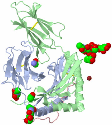 Image Asym./Biol. Unit