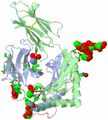 Image Asym./Biol. Unit - sites