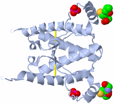 Image Biological Unit 1