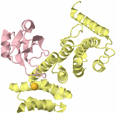 Image Biological Unit 2