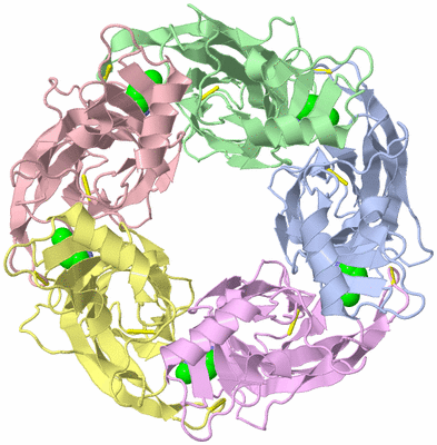 Image Biological Unit 1