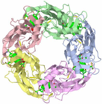 Image Biol. Unit 1 - sites