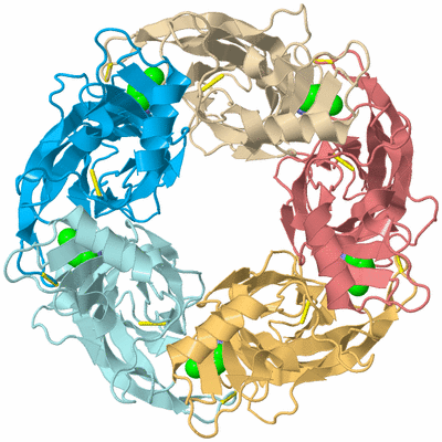 Image Biological Unit 2