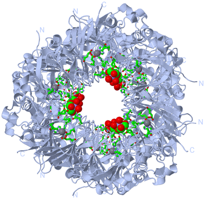 Image Biol. Unit 1 - sites