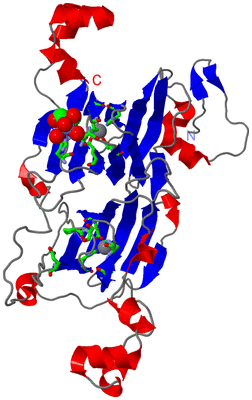 Image Asym. Unit - sites