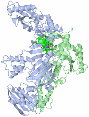 Image Asym./Biol. Unit - sites