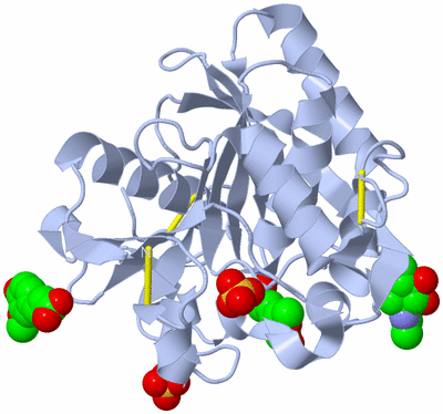 Image Biological Unit 1