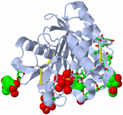 Image Biol. Unit 1 - sites