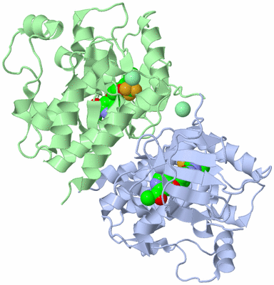 Image Asym./Biol. Unit