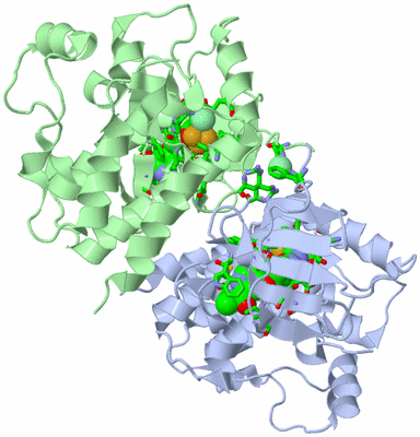 Image Asym./Biol. Unit - sites