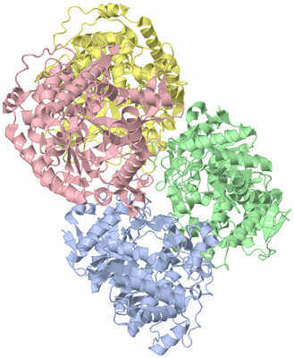 Image Asym./Biol. Unit