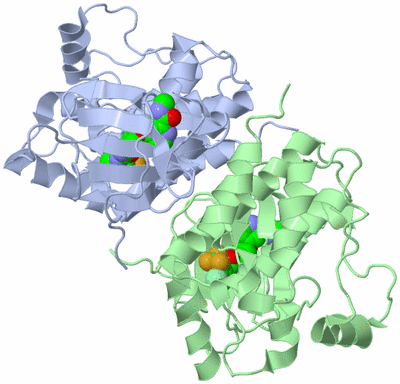 Image Asym./Biol. Unit