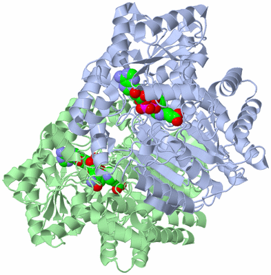 Image Asym./Biol. Unit