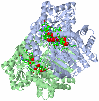 Image Asym./Biol. Unit - sites