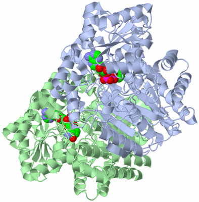 Image Asym./Biol. Unit