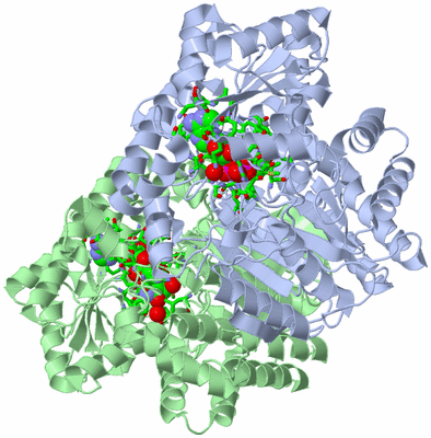 Image Asym./Biol. Unit - sites