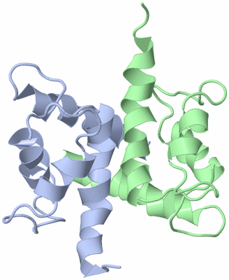 Image NMR Structure - model 1